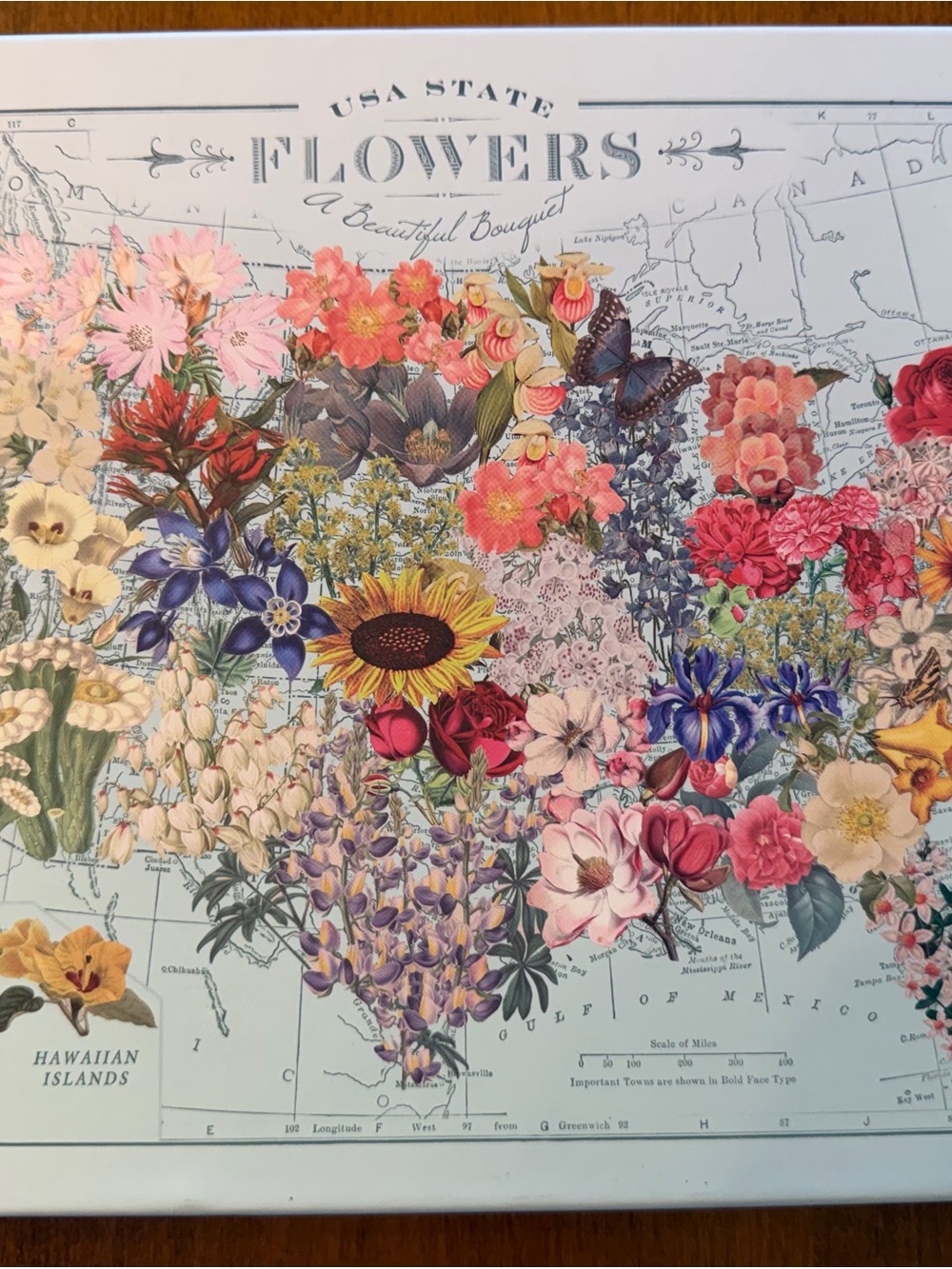 United States Flowers Puzzle
